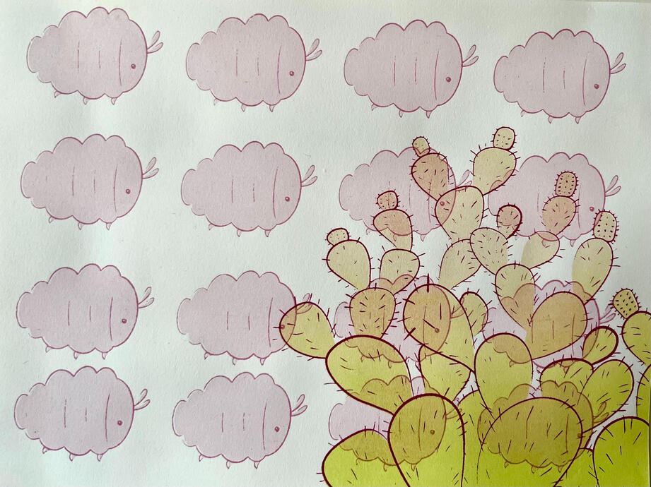 March of the Cochineal - Silk Screen, Cochineal Handmade Ink - 2022