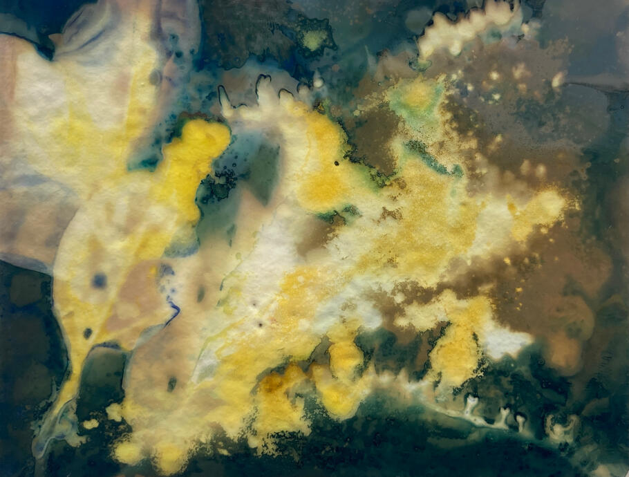 Untitled - Phytogram - 2021