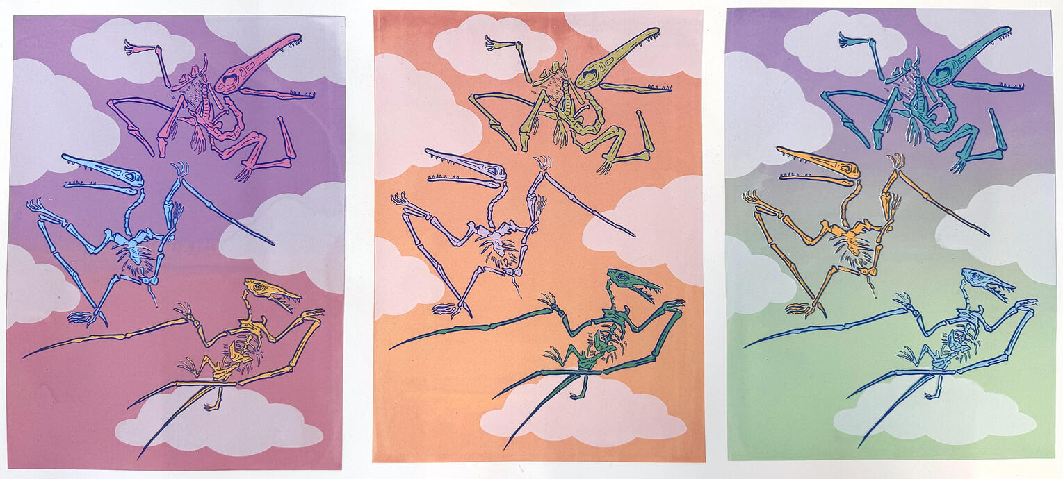 Pterosaur - Silk Screen - 2024