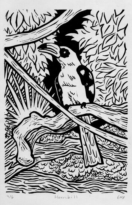 Hornbill - Linocut - 2024